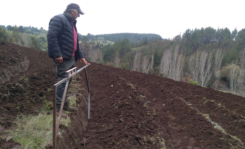 Agricultor Héctor Toro - comuna de San Nicolás
