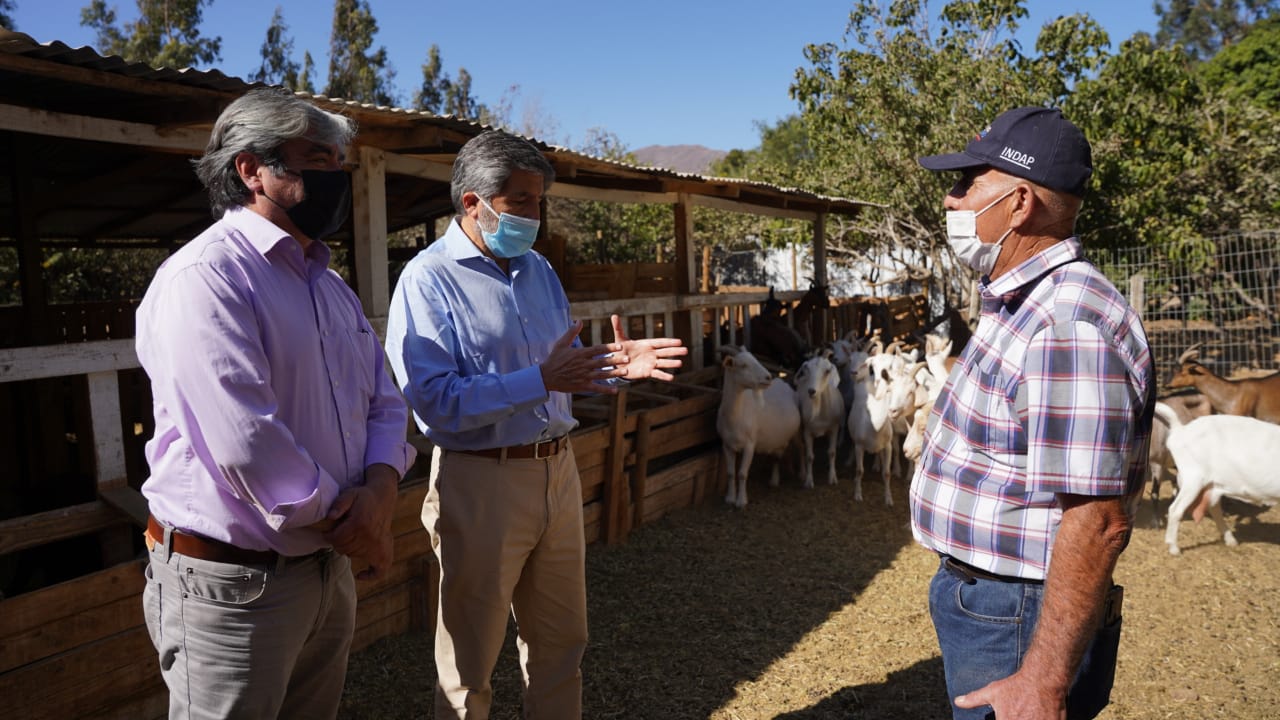 Visita a productores de Coquimbo