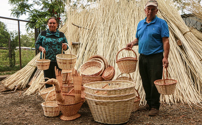 Mimbre Coihueco