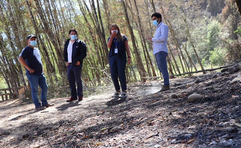 Catastro incendio forestal El Carmen
