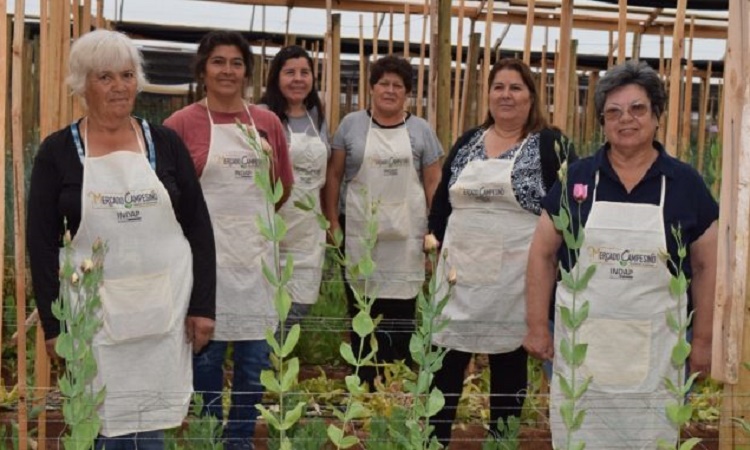 Concurso Progyso 2022 Coquimbo