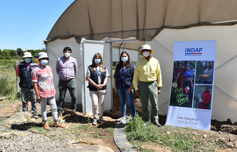 Concurso para proyectos de invernadero Ñuble