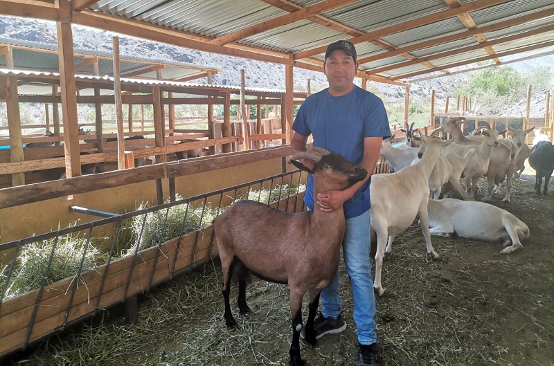 Productor caprino de Vicuña Leonardo Monardez