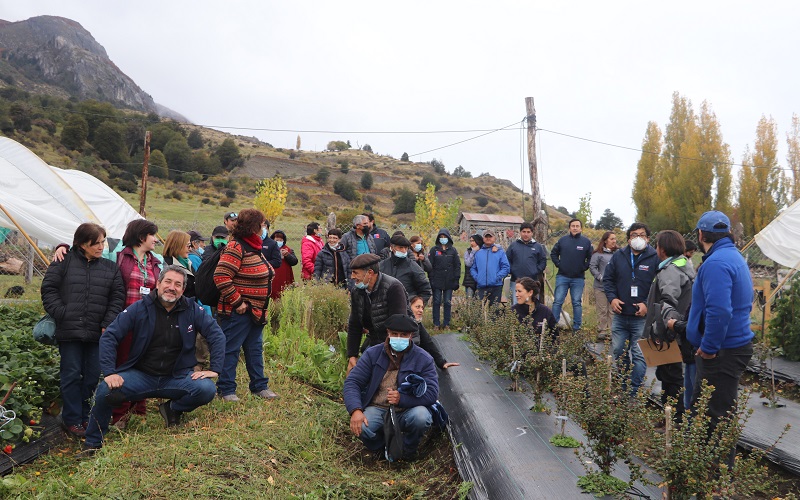 Cierre Programa de Frutales Aysén 