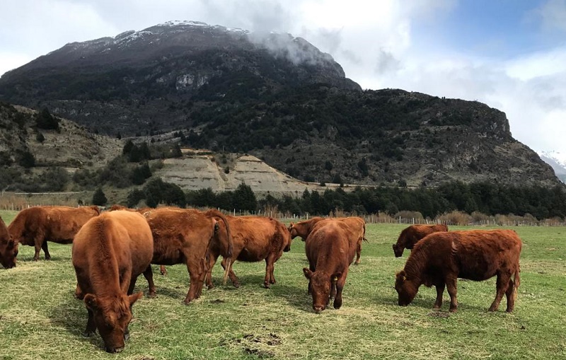 Medidas invernales Indap Aysén 1