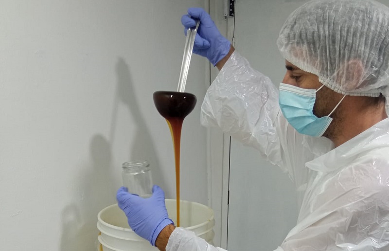 Resolución sanitaria apicultores Los Andes