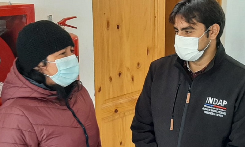 Siembra por Chile - San Javier y Longaví 1
