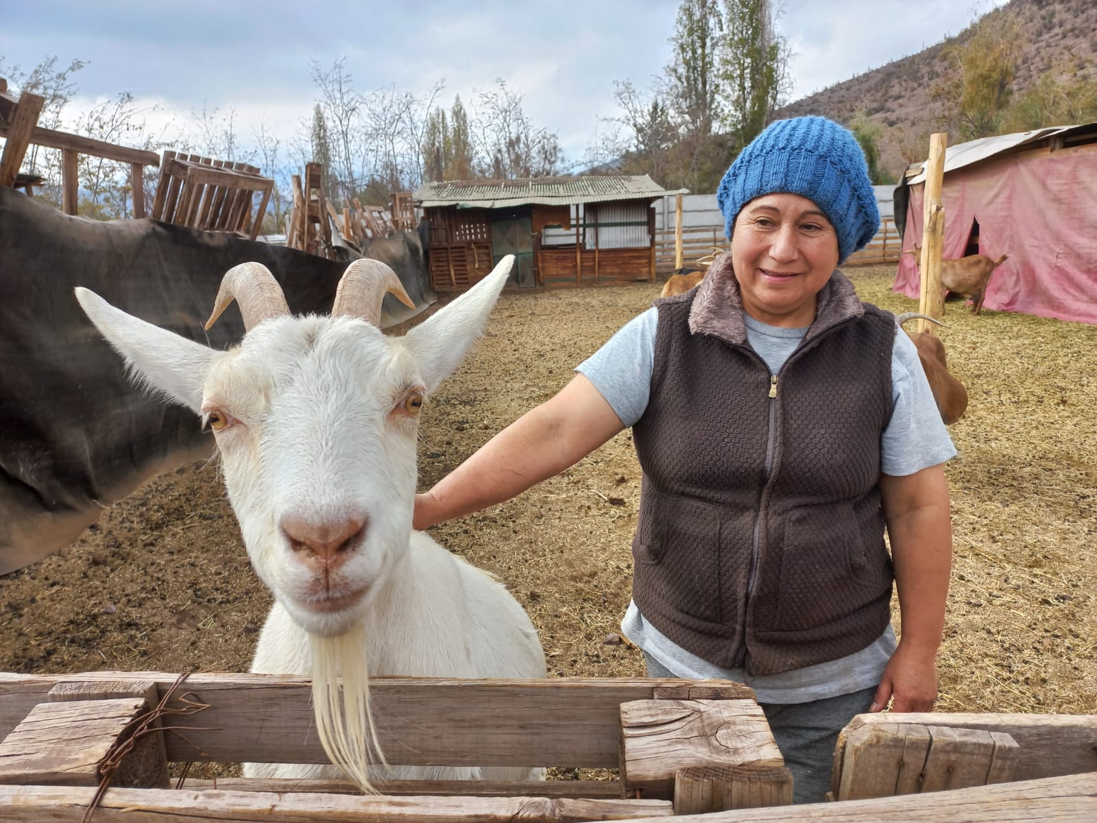 Marisol Araos en su Granja Caprigo