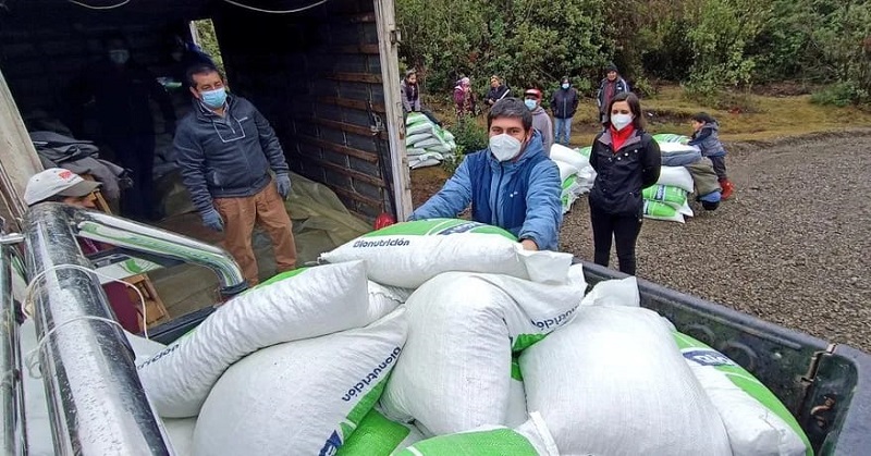 Gobierno entrega alimentación animal en Alto Biobío antes de nevazones