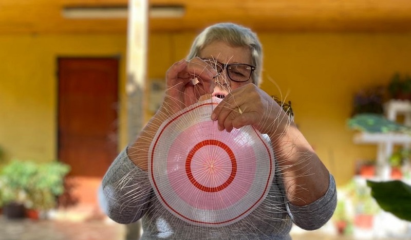 María del Pilar Véjar - lámparas de crin 1