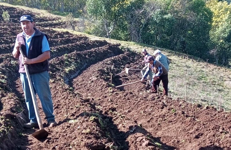 Microterrazas en comuna de Portezuelo