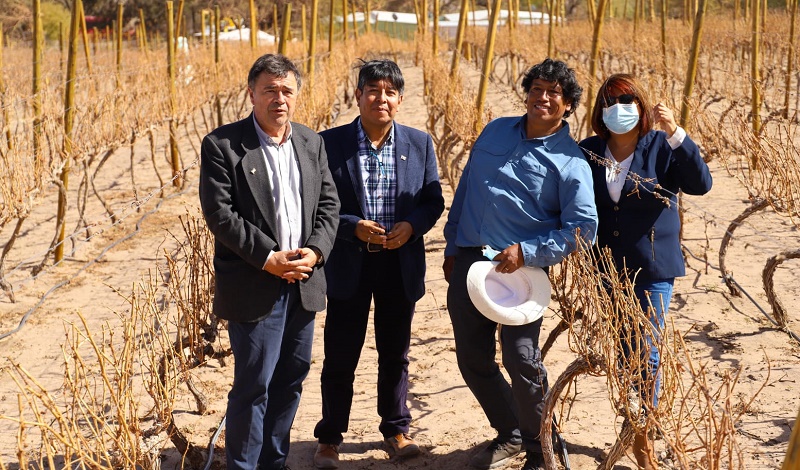 Vinos Cooperativa Agrícola Lickan Antay 1