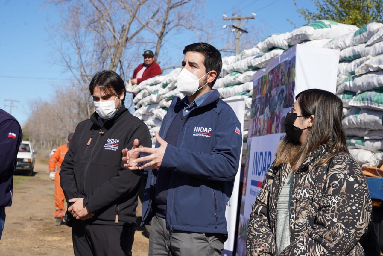 Santiago Rojas, director nacional de INDAP, participó en la entrega del alimento a los productores