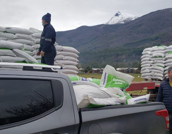 52 toneladas de alimento animal entrega INDAP Biobío a 120 pequeños ganaderos de Antuco