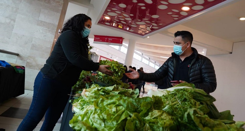 Mercado Campesino INDAP Mall ElTrébol Talcahuano-3Portada