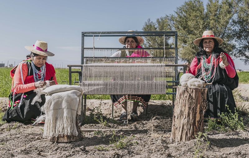 Mercado Textil Indap Tarapacá 1