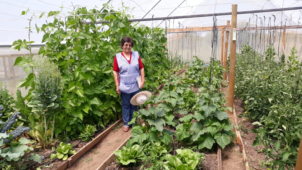 INDAP abre convocatoria para curso de agroecología