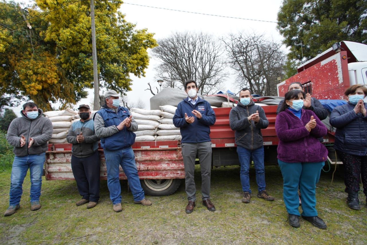 Una de las entregas de fertilizantes este martes en Biobío