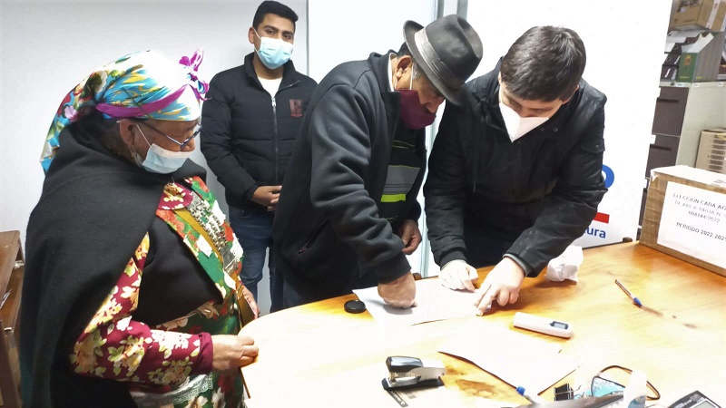 Elecciones CADA Tirúa