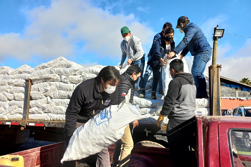 Maule entrega alimentación animal