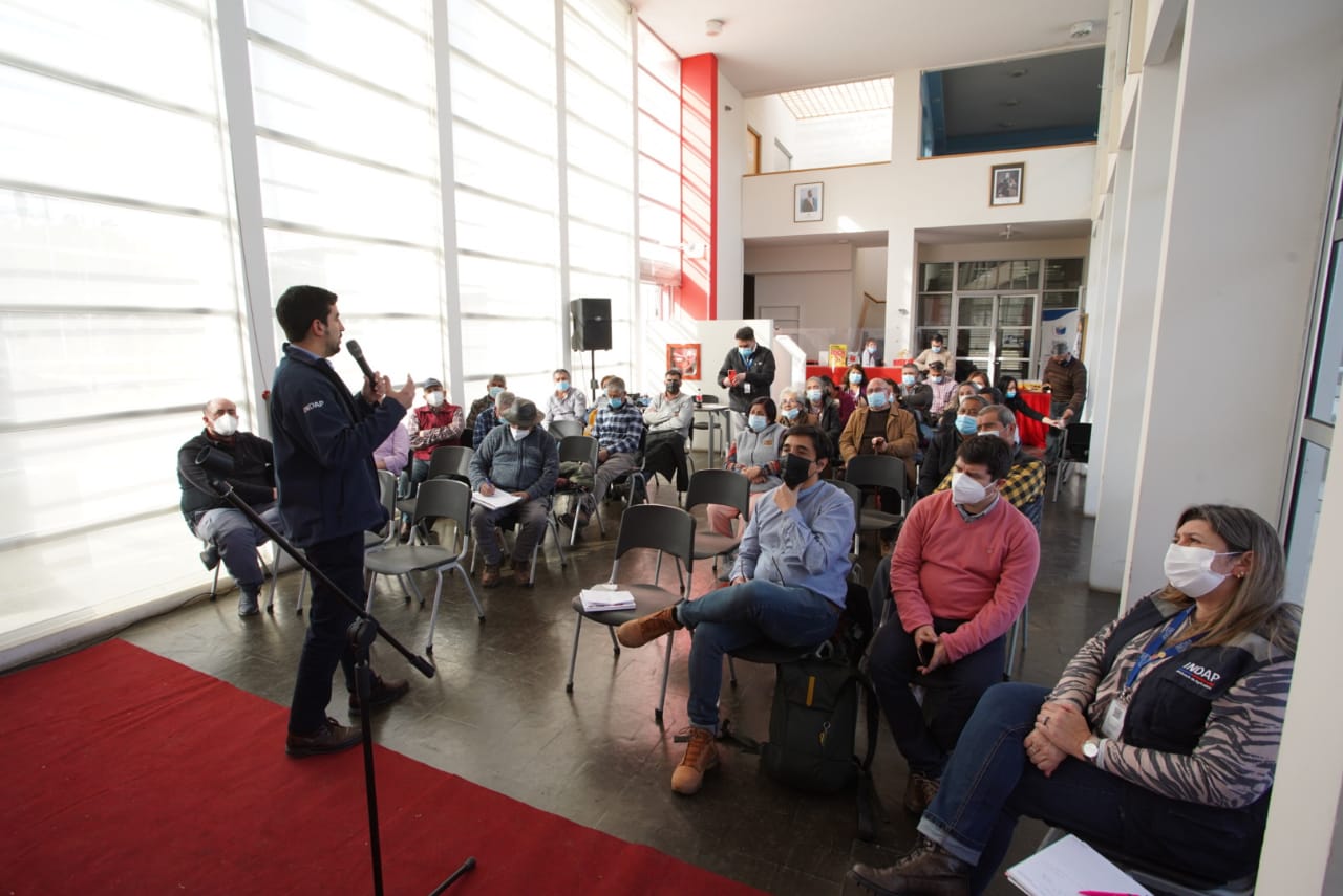 Santiago Rojas en el taller de Tiltil