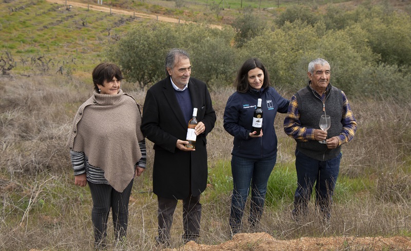 Agroseguros viñas Ñuble y Biobío 1
