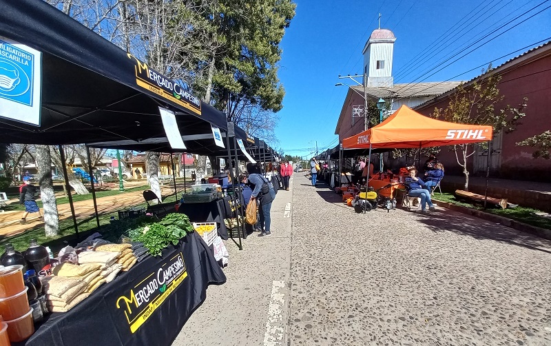 Empedrado Mercado Campesino 1