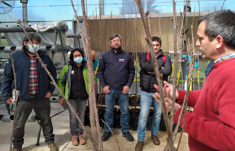 Encuentro de Sustentabilidad Ñuble 1