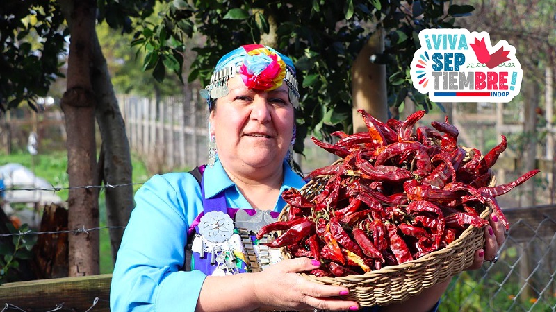 Ginette Rivera - merkén mapuche