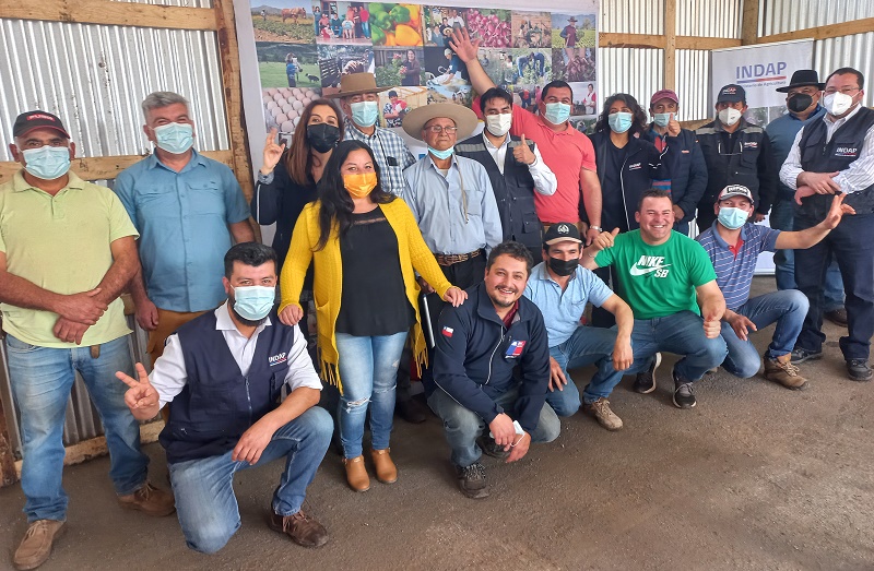 Indemnizaciones seguro agrícola Longaví 1