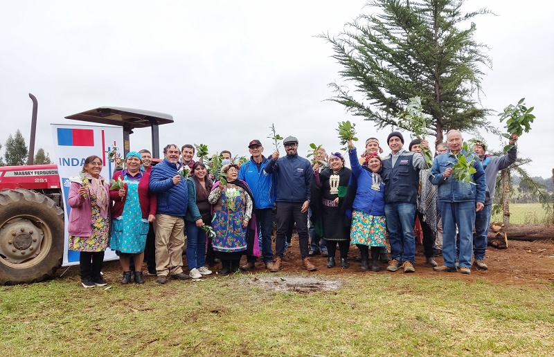 Maquinaria Comunidad Hualmen de Carahue 1