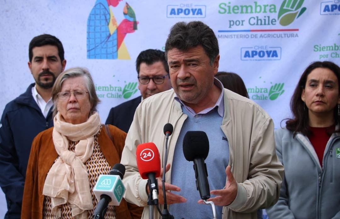 Ministerio de Agricultura anuncia $2.000 millones para ir en ayuda de los productores de frutillas afectados por plaga de nematodo