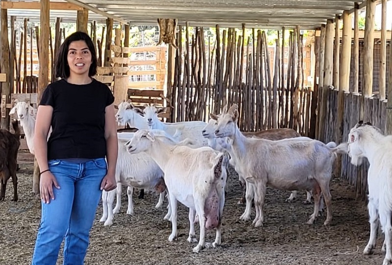 Camila Parra - manjar y queso de cabra Vicuña 1
