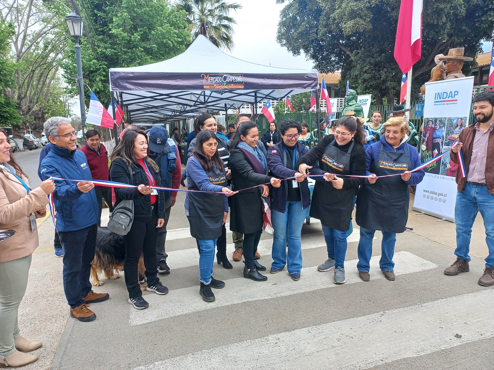 Autoridades en la apertura del nuevo Mercado Campesino de Olmué