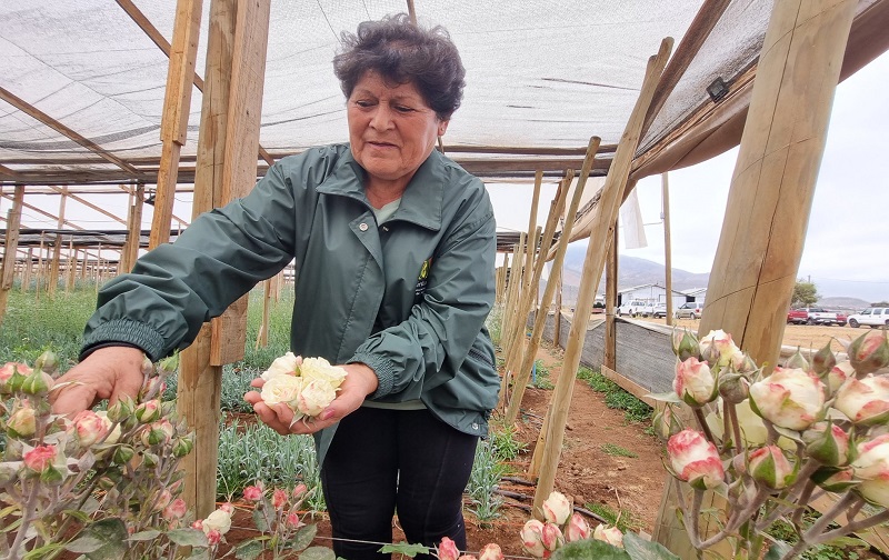 Aniversario Cooperativa Floricoop 1