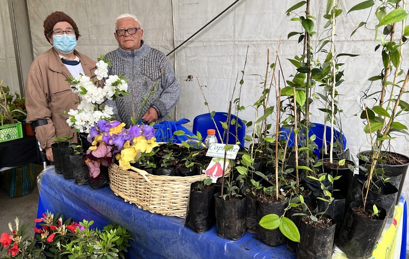 Feria de las Flores - Hilda Rebolledo