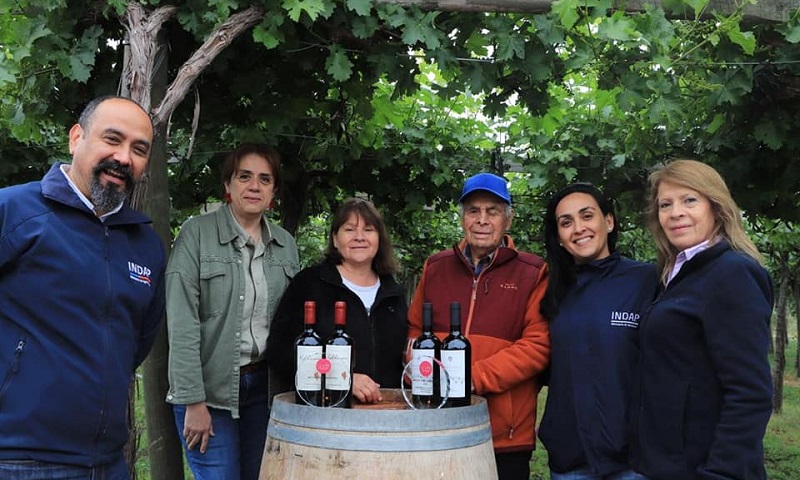 Mejores Vinos Ancestrales Palmilla 1
