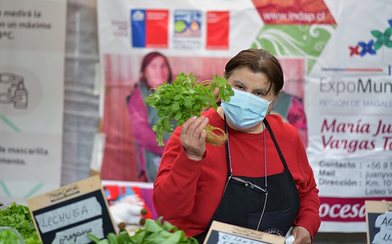 Mercado Zona Franca Punta Arenas 1