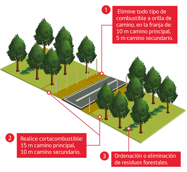 Medidas de prevención a orillas de camino