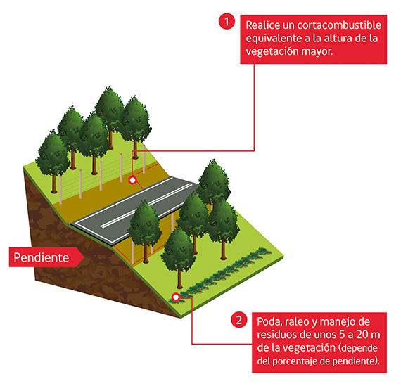 Medidas de prevención a orillas de camino