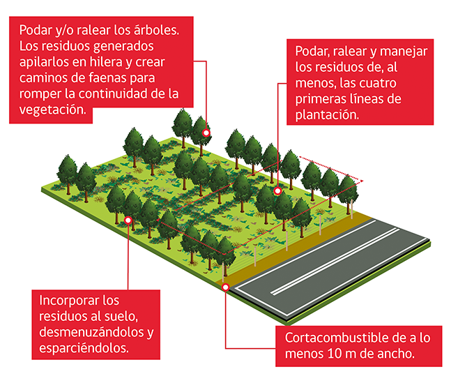 Medidas de prevención a orillas de camino