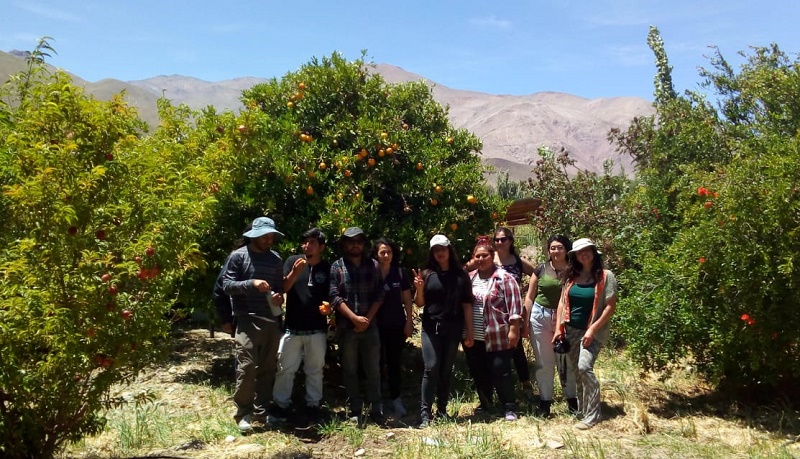 Jóvenes rurales Atacama en Alto del Carmen