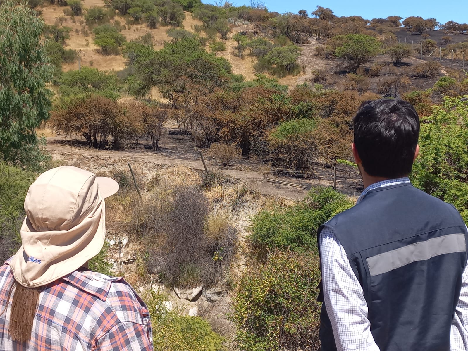 Visita del director nacional de INDAP Santiago Rojas a un predio afectado por incendios en Melipilla