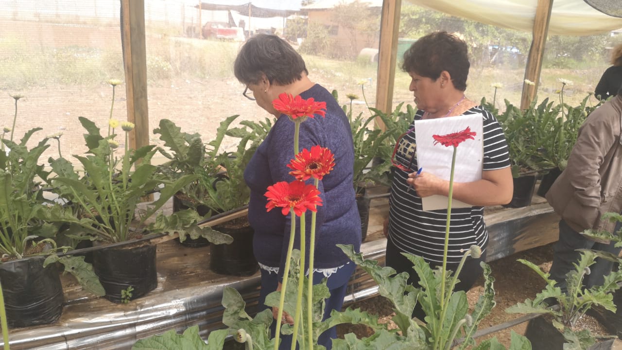 El taller permitió a las usuarias de INDAP del SAT de Flores conocer un sistema que podrían replicar en sus predios