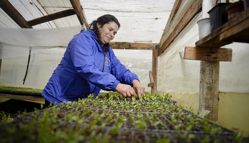 INDAP incorpora mejoras a Prodesal y beneficiará a más de 68 mil agricultores (3)Portada