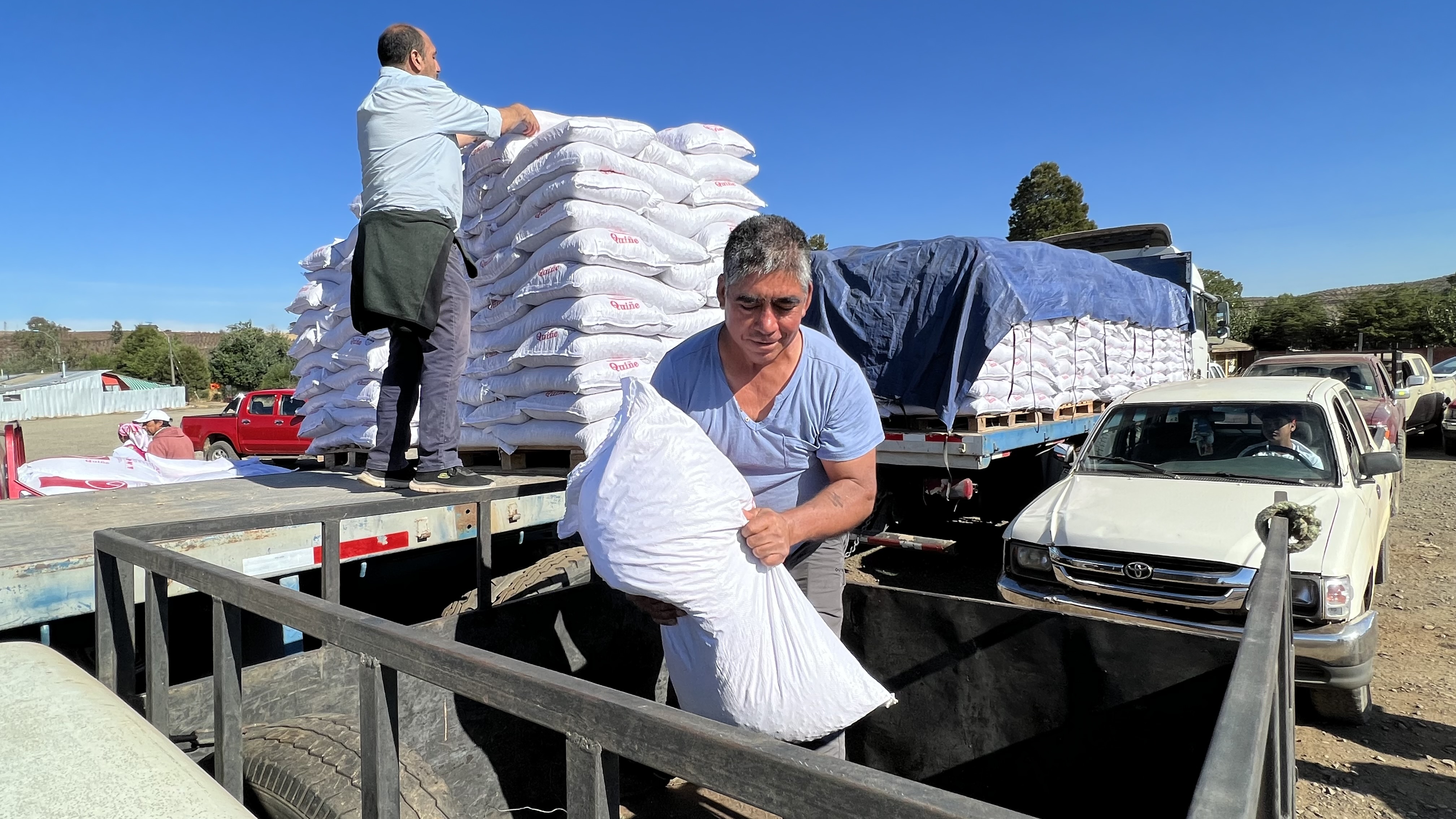 Entrega de alimentación animal en Victoria y Traiguén