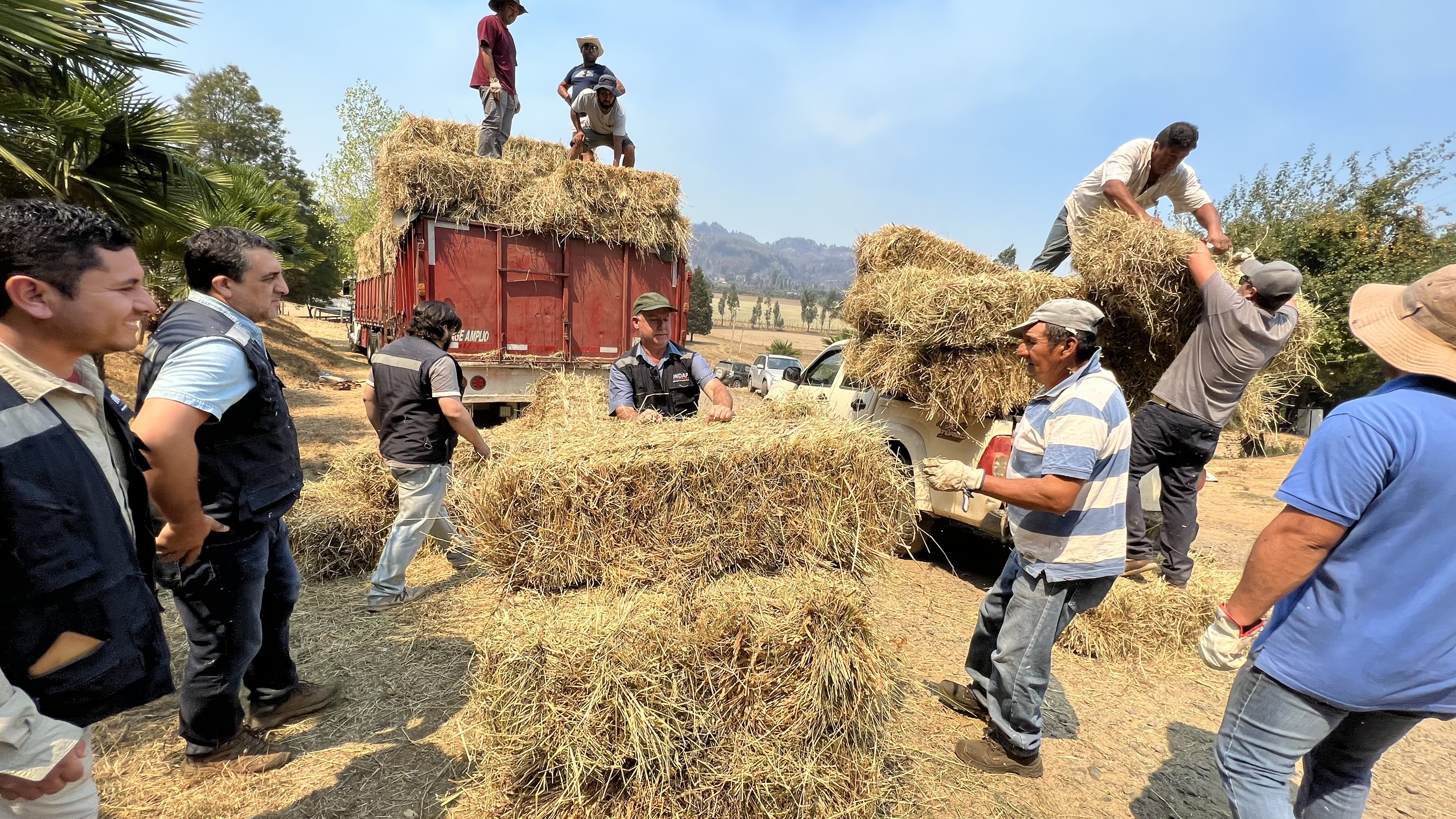 INDAP Araucanía continúa apoyo a las agricultoras y agricultores afectados por incendios forestales y difunde plan de medidas especiales