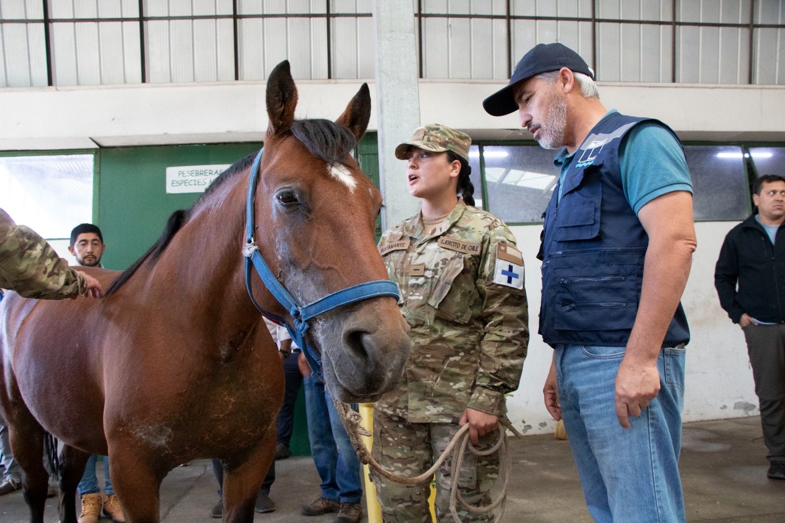 El subsecretario Guajardo y una funcionaria del Ejército junto al caballo Comino 