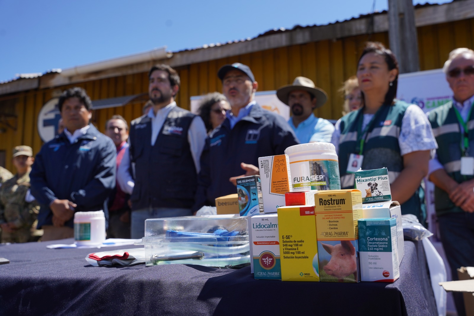 Convenio entre INDAP Y SAG permitirá atención médica a animales lesionados en incendios forestales de Ñuble, Biobío y La Araucanía 