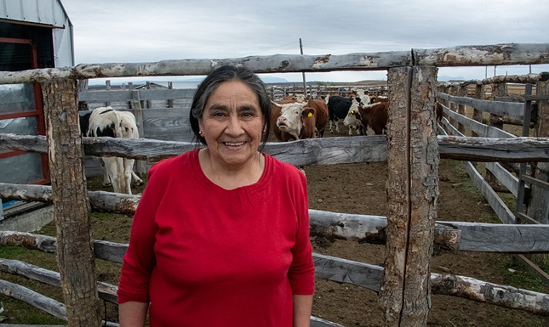 María Isabel Cárcamo Gallardo - ganadera Natales